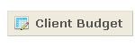 Bill4Time Client Budget Button